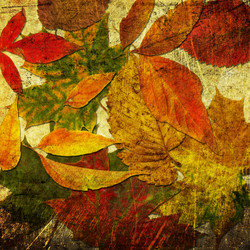 Similar image 7898958