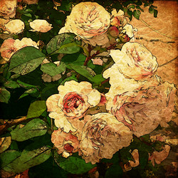 Similar image 7898965