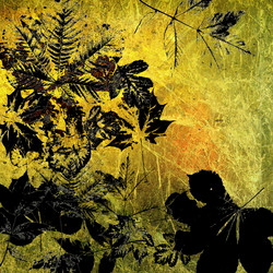 Similar image 7898978