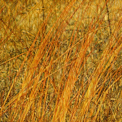 Similar image 7898999