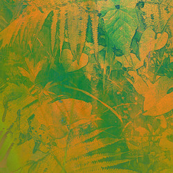 Similar image 7899007