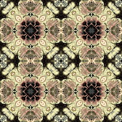 Similar image 7899009