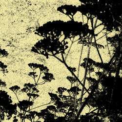 Similar image 7899021