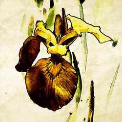 Similar image 7899039