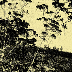 Similar image 7899053