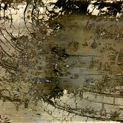 Similar image 7899068