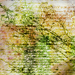 Similar image 7899092