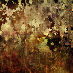 Similar image 7899096