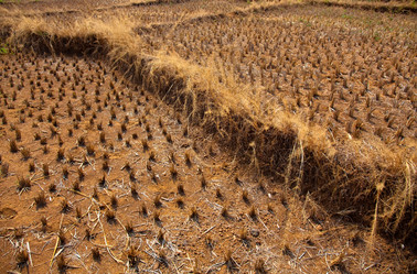 Similar image 7899102