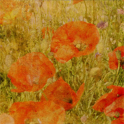 Similar image 7899143