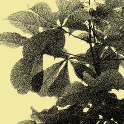 Similar image 7899153