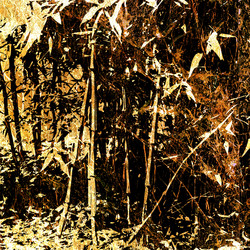 Similar image 7899154