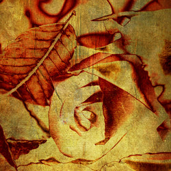 Similar image 7899158