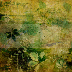 Similar image 7899161