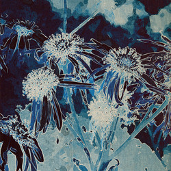 Similar image 7899195