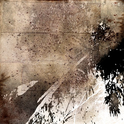 Similar image 7899221