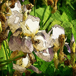 Similar image 7899233