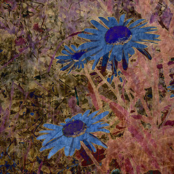 Similar image 7899241