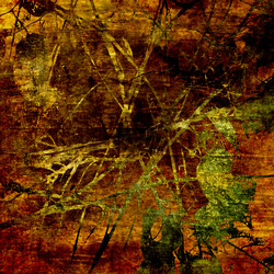 Similar image 7899260