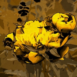 Similar image 7899308