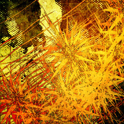 Similar image 7899315