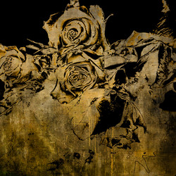 Similar image 7899455