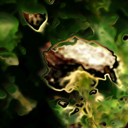 Similar image 7899461