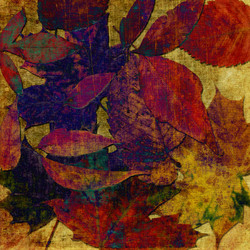 Similar image 7899478