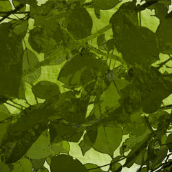 Similar image 7899492