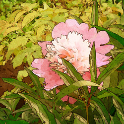 Similar image 7899524