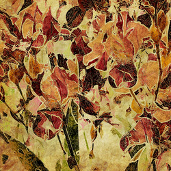 Similar image 7899525