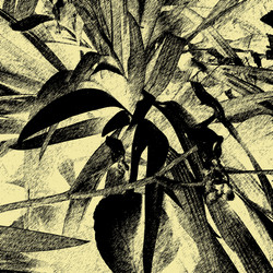 Similar image 7899546