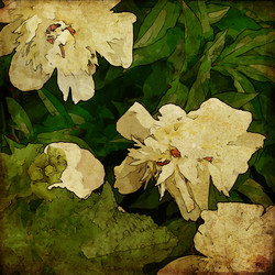 Similar image 7899575