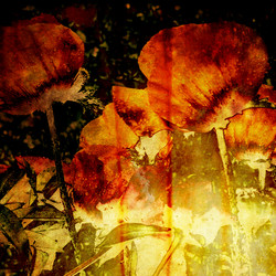 Similar image 7899614