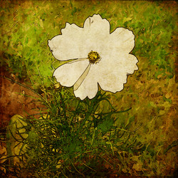 Similar image 7899635