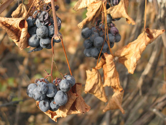 Similar image 7899644