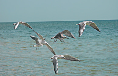 Similar image 7899645