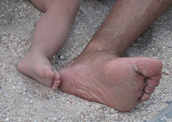 Similar image 7899646