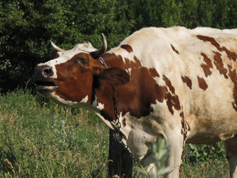 Similar image 7899650