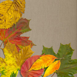 Similar image 7899672