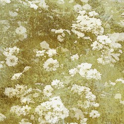 Similar image 7899703