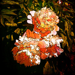 Similar image 7899711