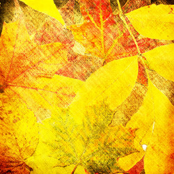 Similar image 7899712