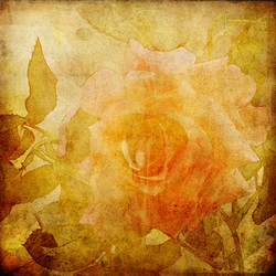 Similar image 7899735