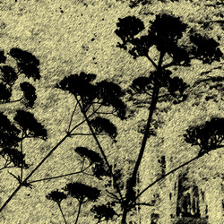 Similar image 7899746