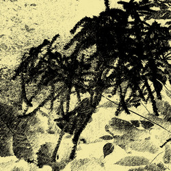 Similar image 7899757