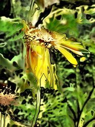 Similar image 7899902