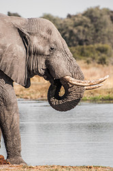 Similar image 7899907