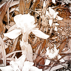 Similar image 7899926