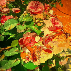 Similar image 7900265